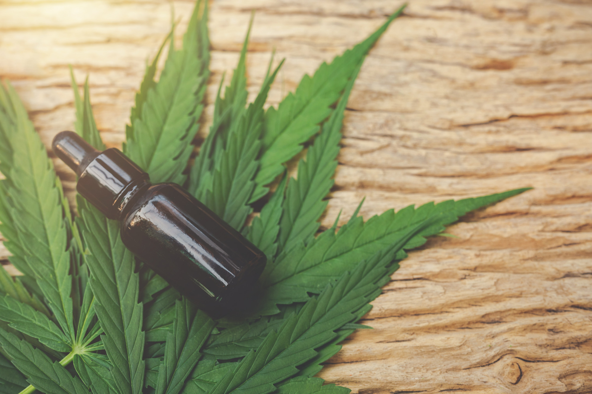 Cannabis via SUS