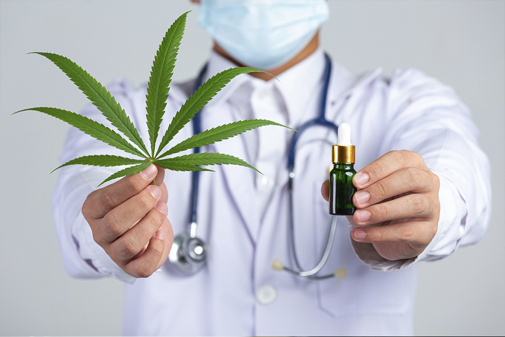 Advocacia Cannabis Medicinal