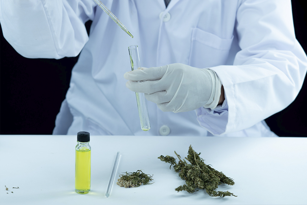 Advocacia Cannabis Medicinal